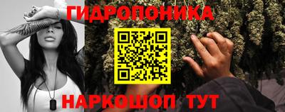 хмурый Рузаевка