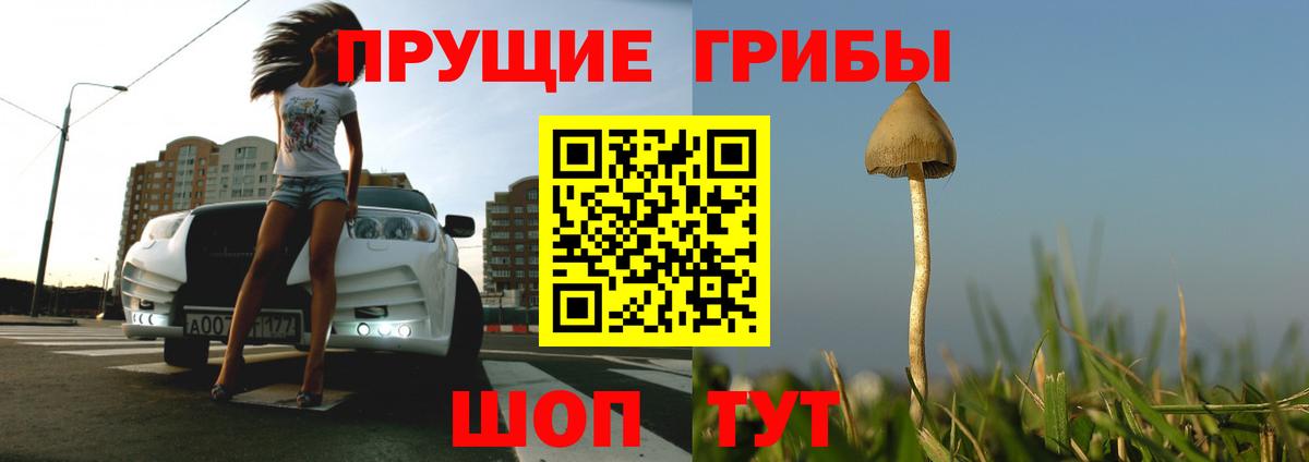 Алексин  Псилоцибиновые грибы мицелий  Вход с VPN 